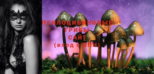 метадон Армянск