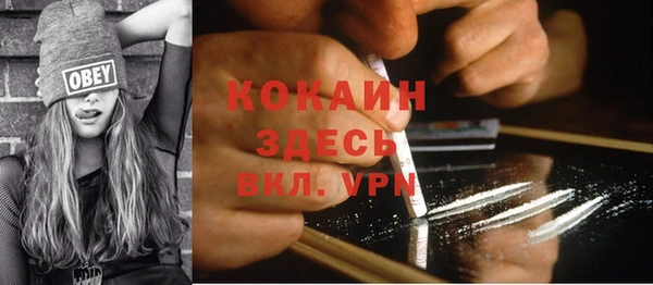 бошки Снежинск